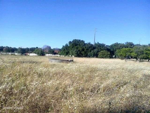 Palmela/Quinta do Anjo Terreno 6800m2 . - Grande imagem: 4/5