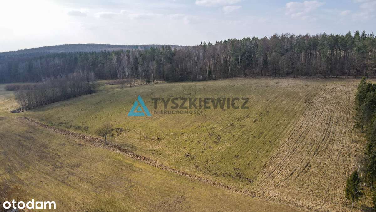 Działki rolne blisko lasu Mierzeszyn - Pełny obrazek: 4/20