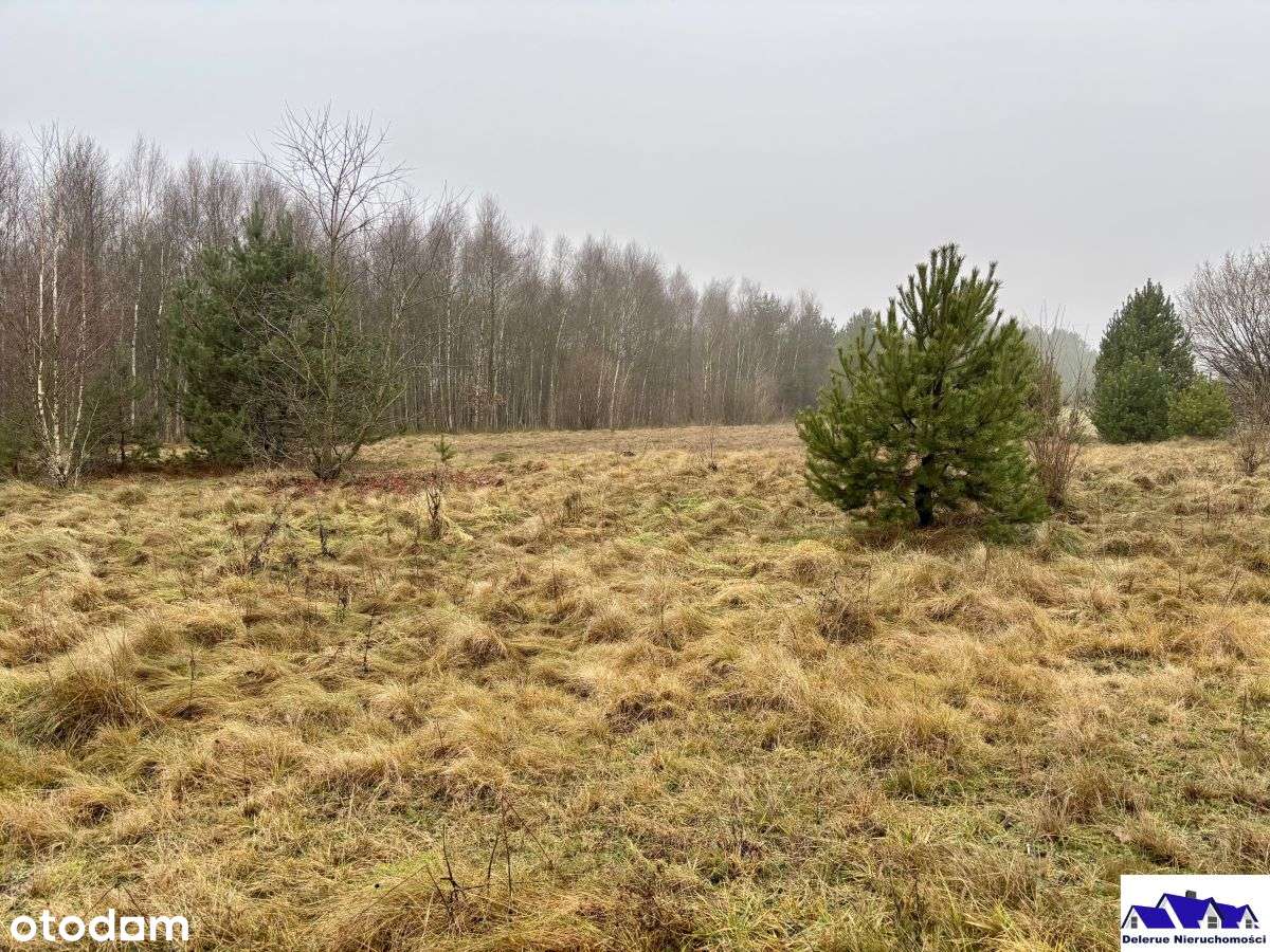 Działki budowlane gmina Czersk-8