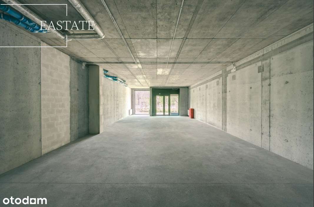 Przestronny Lokal z Witryną przy Parku Reagana - Pełny obrazek: 5/14