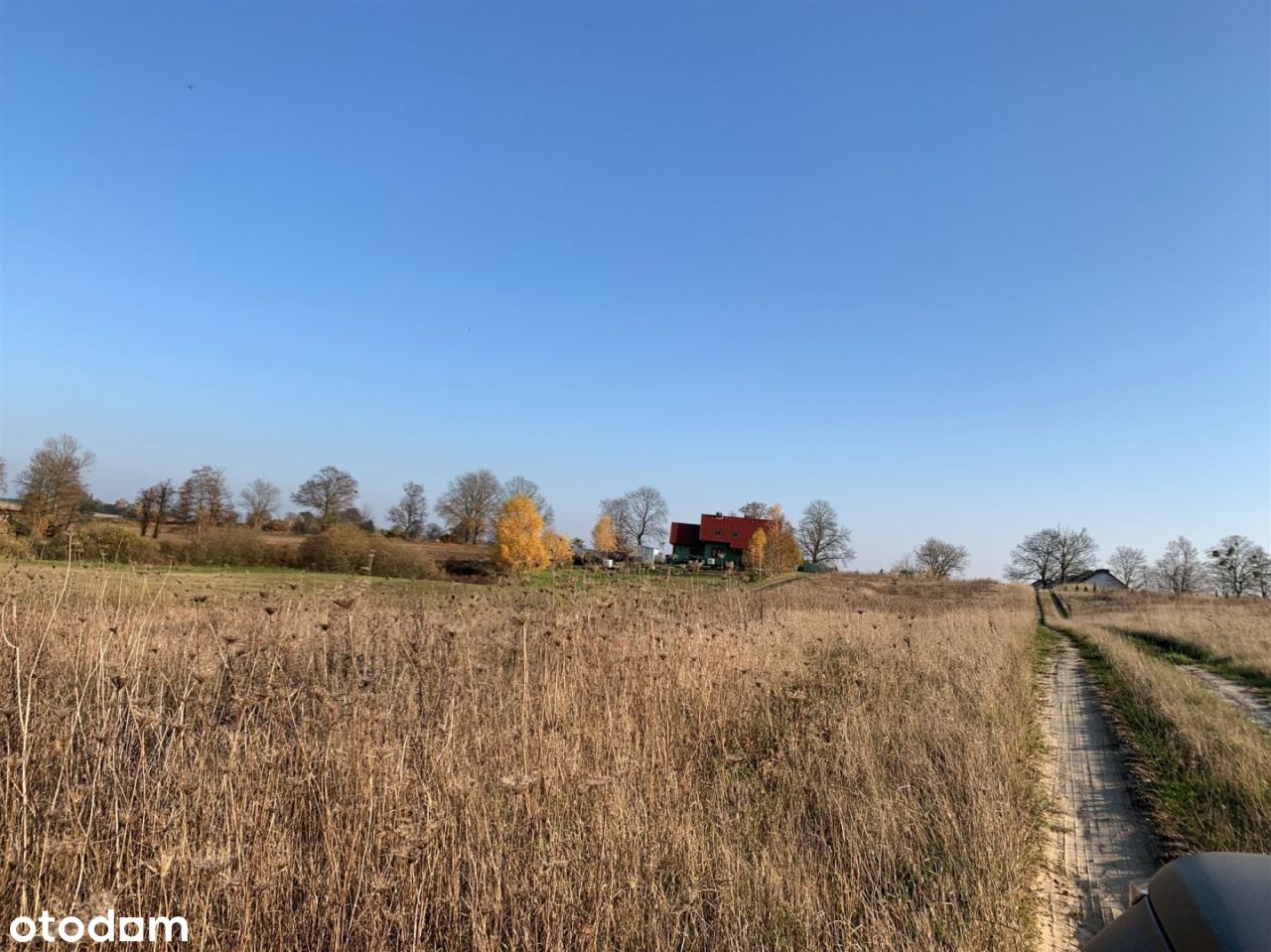 Na Sprzedaż Działka Z Linią Brzegową Jeziora