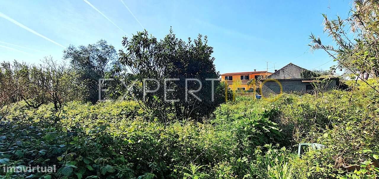 Moradia V1 Coimbra-15