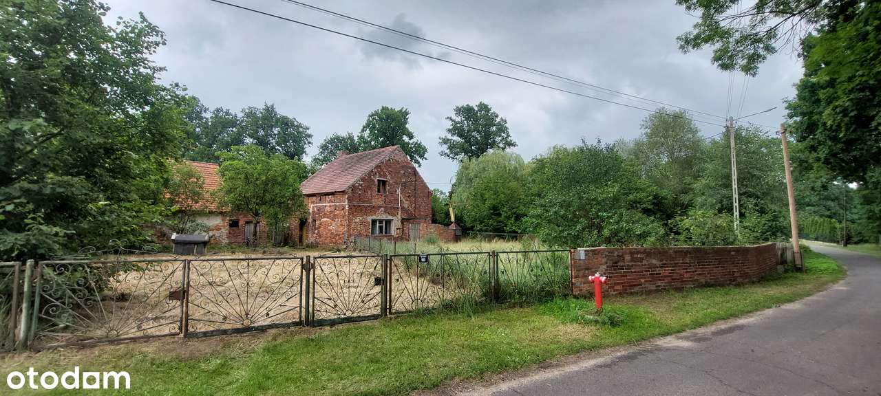 Wolnostojący dom z ogrodem w cichej okolicy