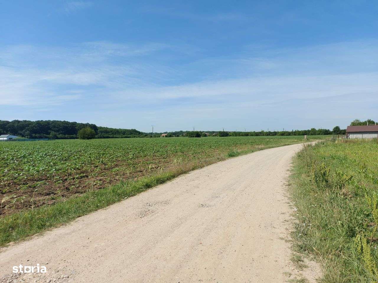 Snagov-Ghermanesti, teren intravilan, 8.500mp, cu deschidere la padure - Imagine principală: 4/6