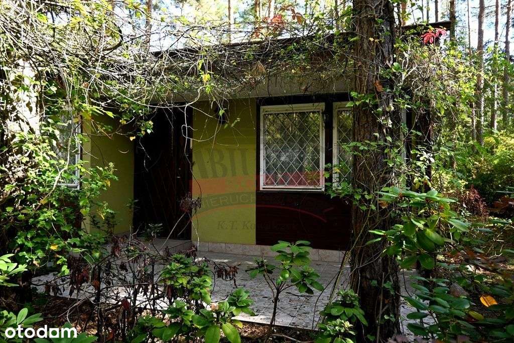 Dom na sprzedaż, 3 pokoje, 60 m², Szczedrzyk