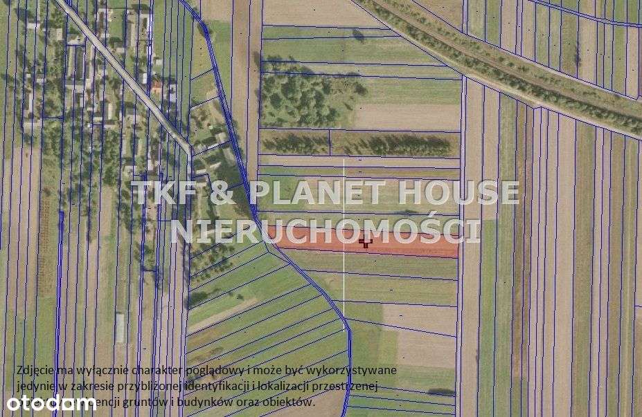 Działka Rolna 9100m2 Werówka gm.Drzewica - Pełny obrazek: 4/4
