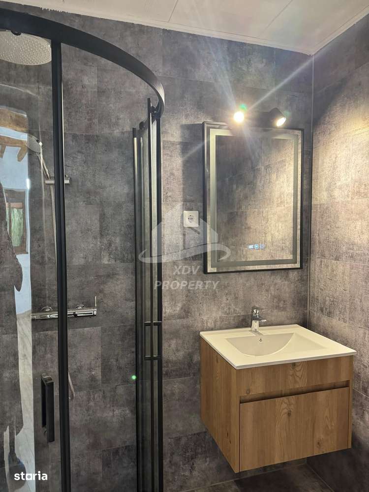 Pensiune/ Vila Valea Avrigului-10