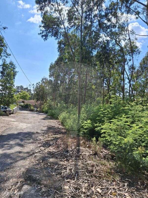 Terreno  para venda - Grande imagem: 3/3