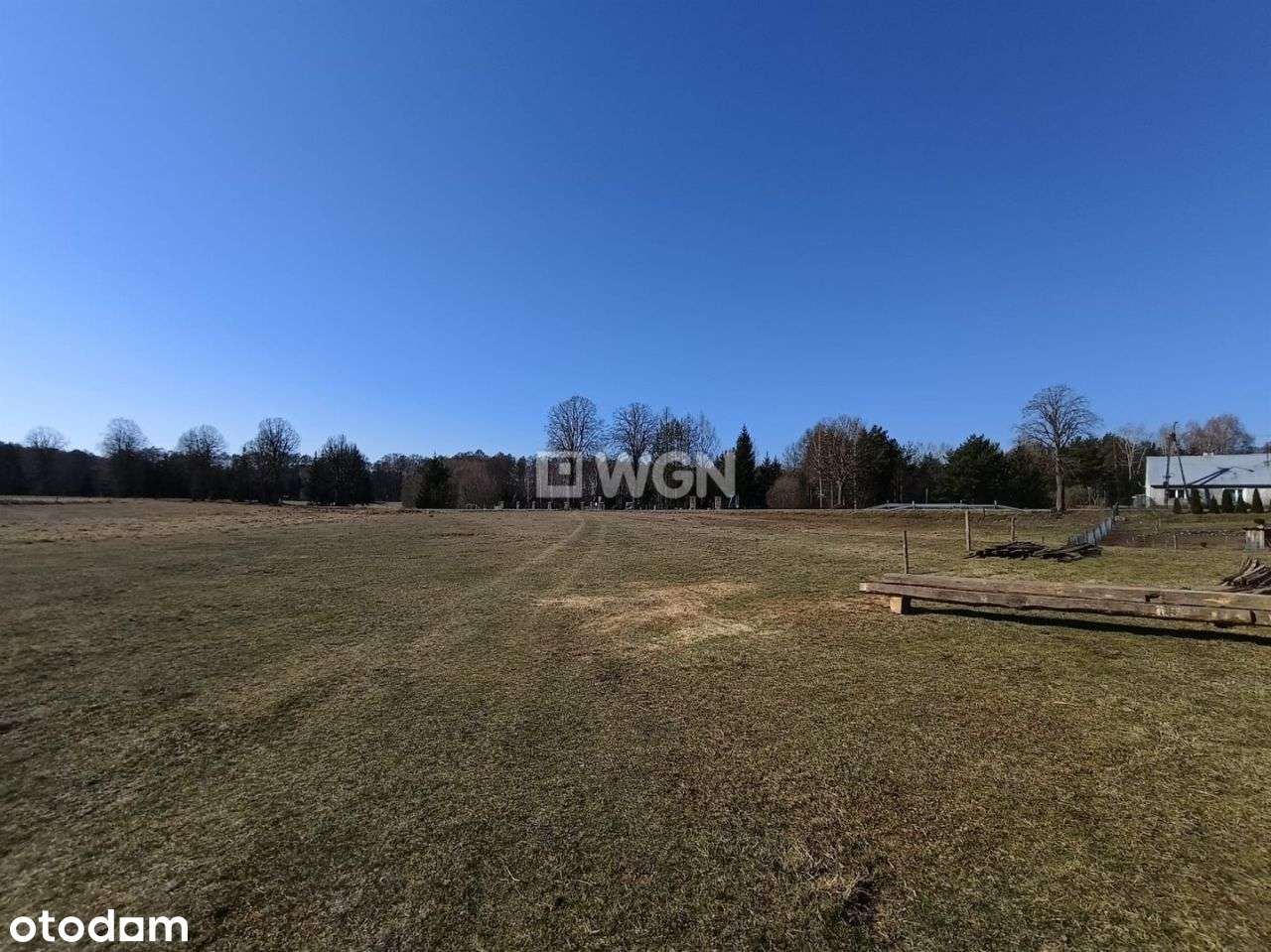 Rożyńsk działka, blisko Jeziora - Pełny obrazek: 3/15