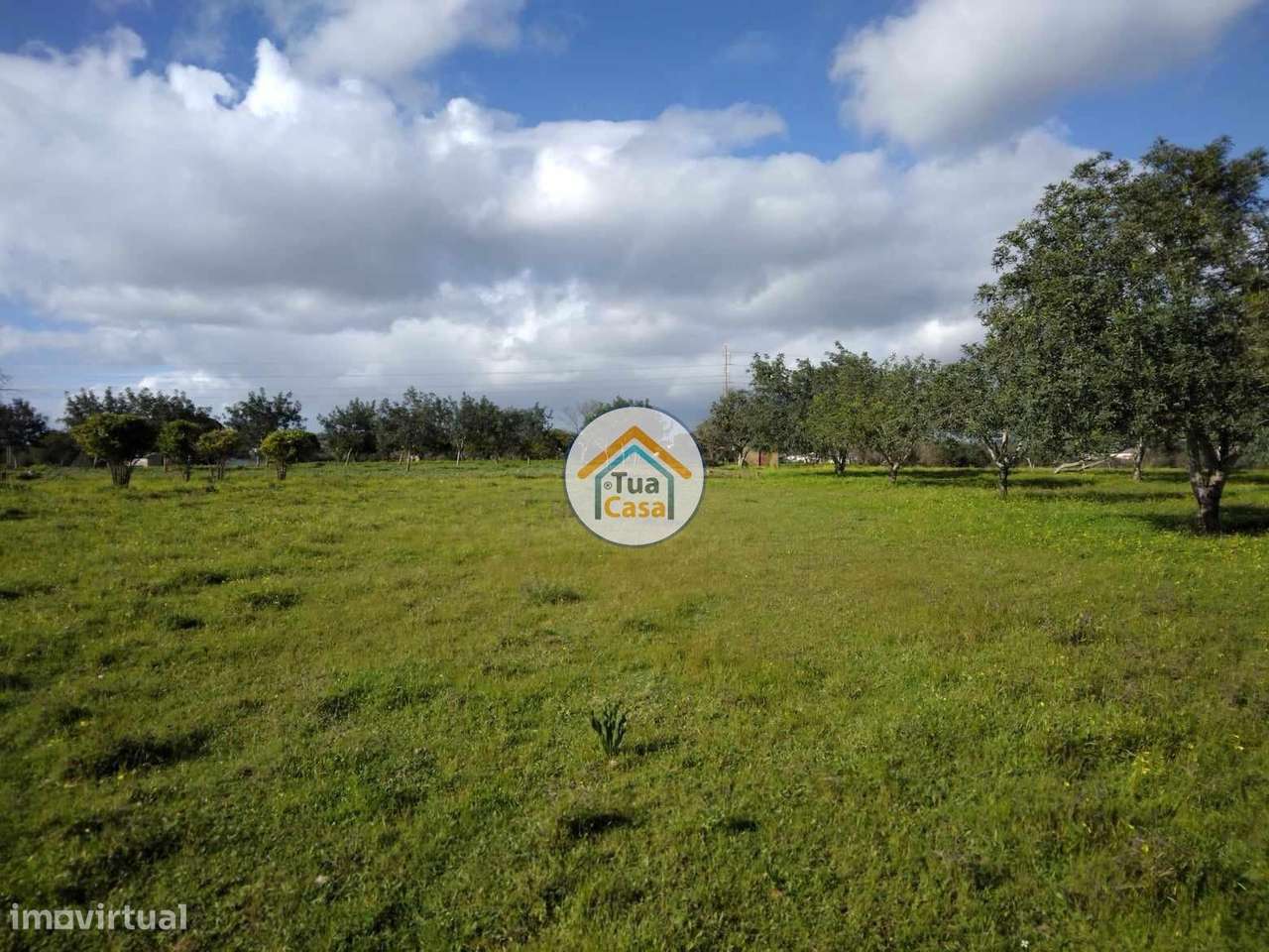 Terreno Rústico com Luz em Boliqueime - Grande imagem: 5/15