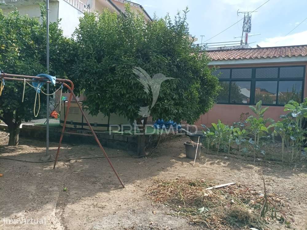 Moradia V6 Em Peso da Régua - Grande imagem: 3/25