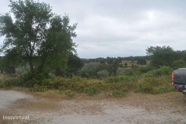 Herdade, para venda, Ponte de Sor - Foros de Arrão-9