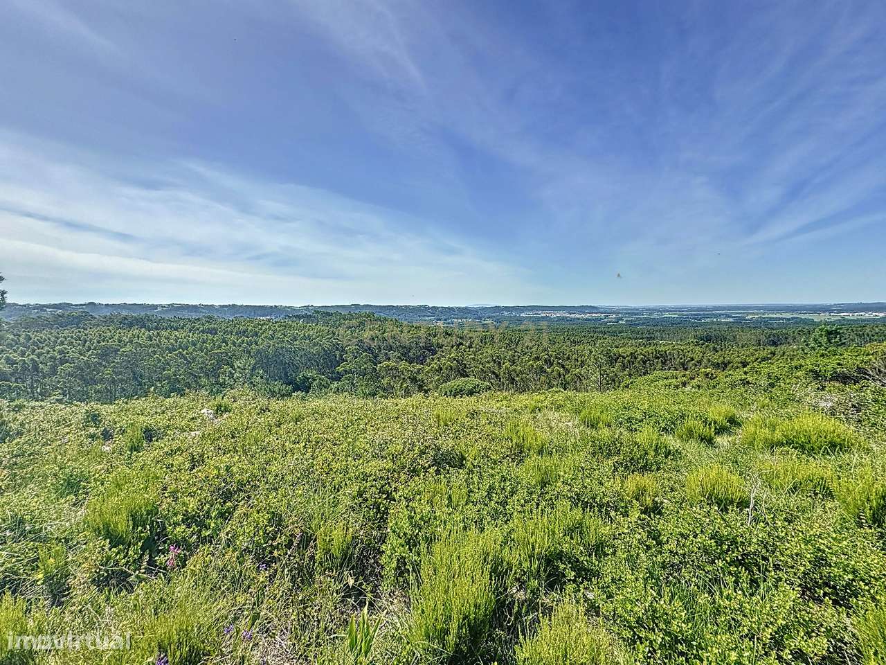 TERRENO - CONECTADO COM A NATUREZA - PRÓXIMO DO MAR - Grande imagem: 3/18