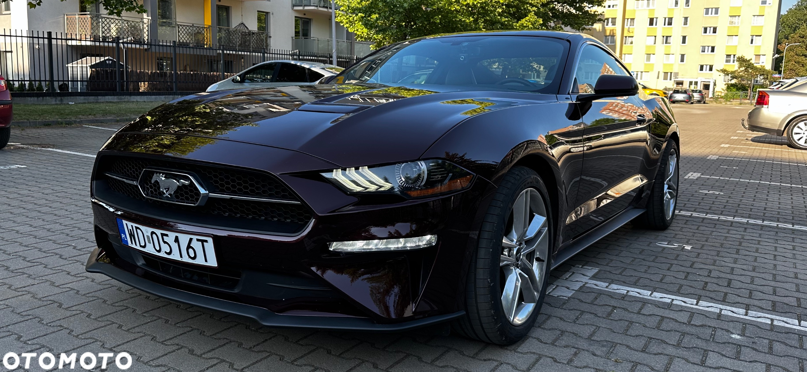 Ford Mustang 2.3 EcoBoost - 12