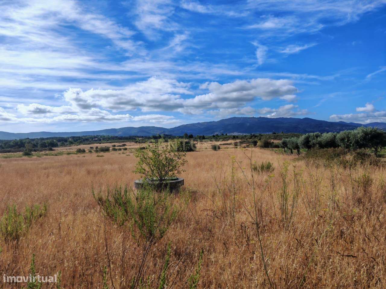 Terreno rústico, 9,6ha Alcaria - Fundão - Grande imagem: 2/15