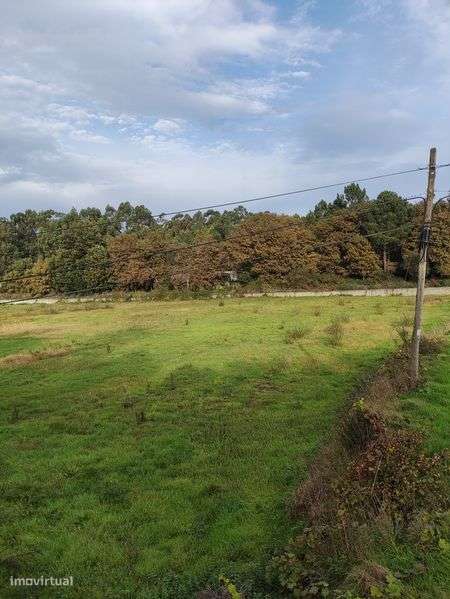 Arrenda-se Terreno Agrícola em Lustosa, Lousada – 22.000 m² - Grande imagem: 4/11