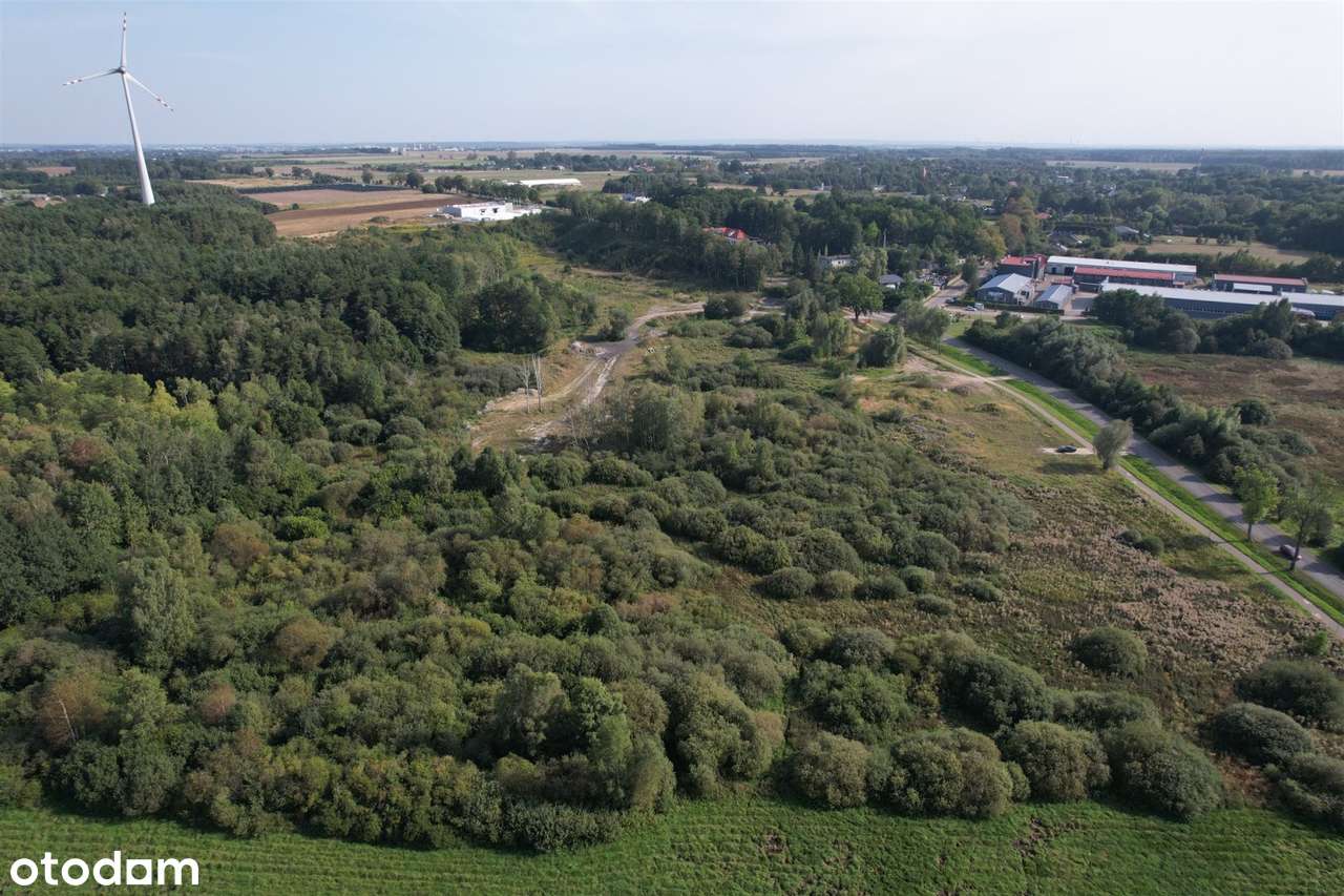 Działka, Bruskowo Wielkie - Pełny obrazek: 5/7