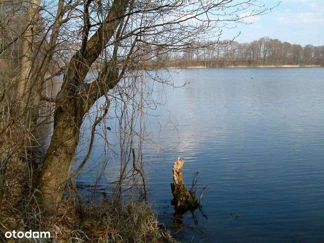 Działka budowlana / rekreacyjna - jeziora lasy - Pełny obrazek: 2/2