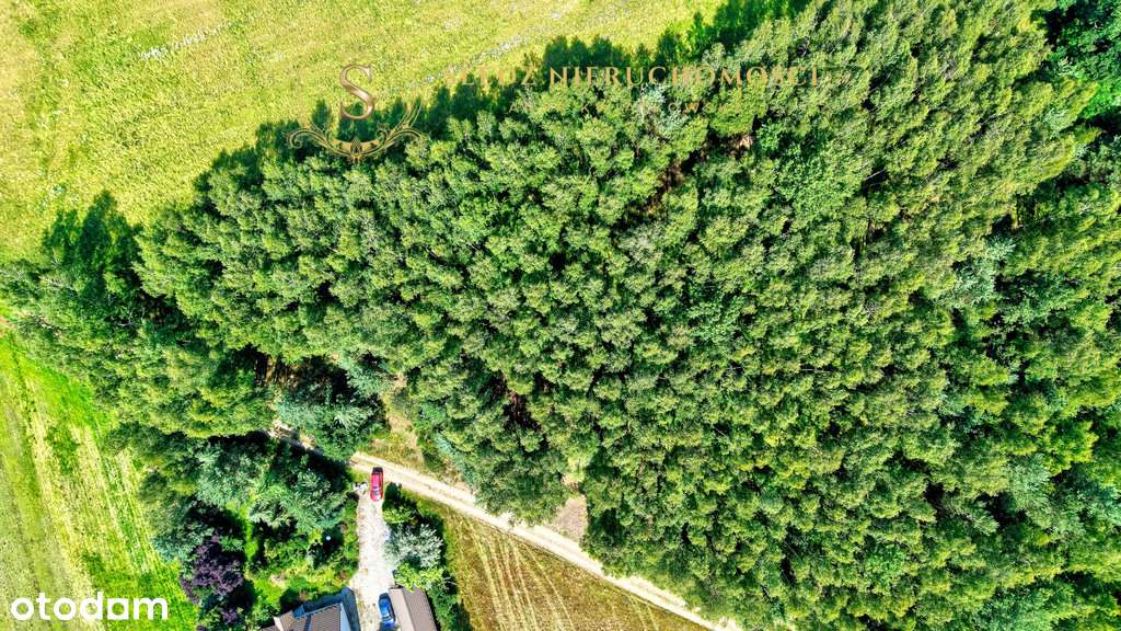 1,2 ha Działka Budowlana 45 min od Wrocławia + Las-19