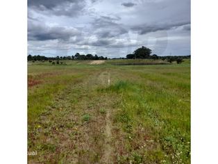 Terreno Agrícola - Foros da Charneca - 50.000€ - Grande imagem: 2/16