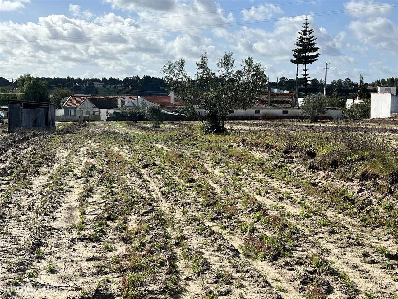 Terreno Para Construção  Venda em Biscainho,Coruche - Grande imagem: 4/14