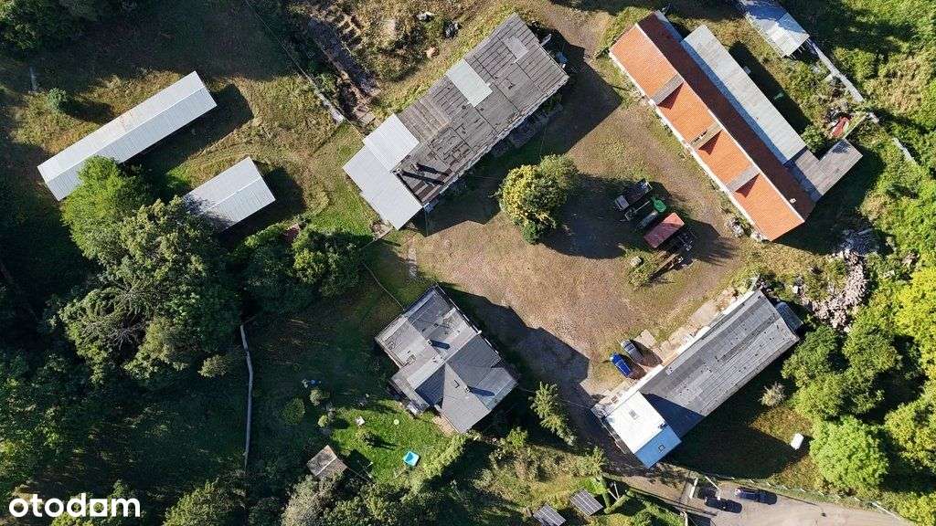 Lokal użytkowy, 1 240 m², Sierakowo - Pełny obrazek: 2/20