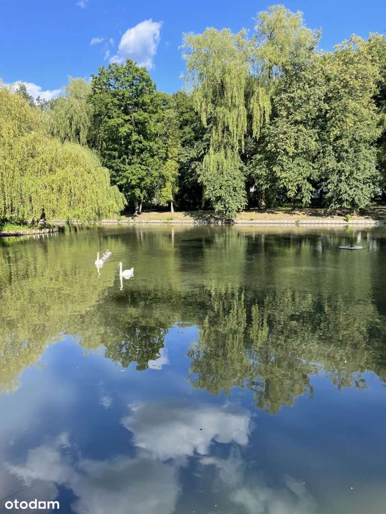 Mieszkanie jak dom | 2 ogródki | łazienka z oknem-17