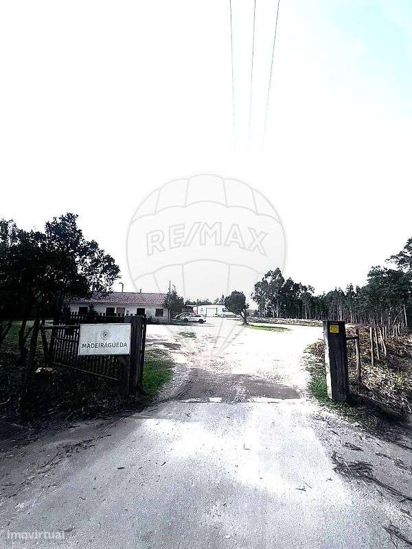 Armazém  para venda - Grande imagem: 2/7