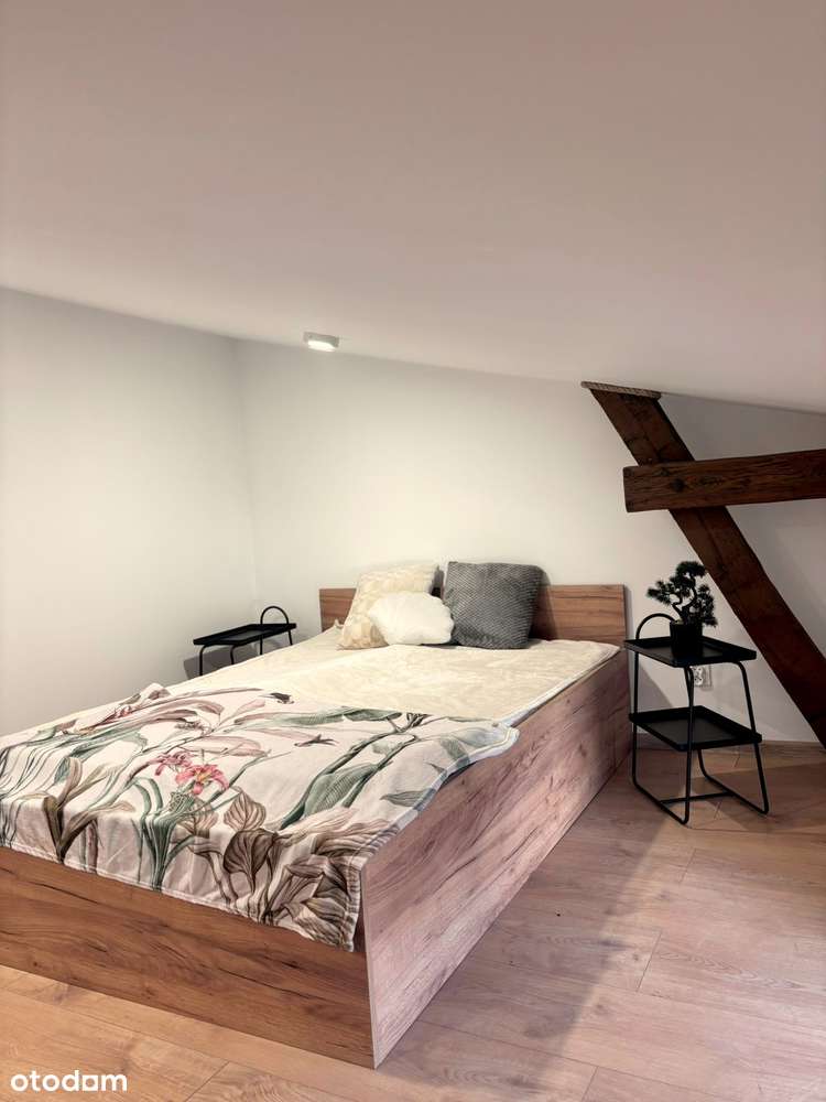 Po remoncie! do zamieszkania KATOWICE PARK ŚLĄSKI-9