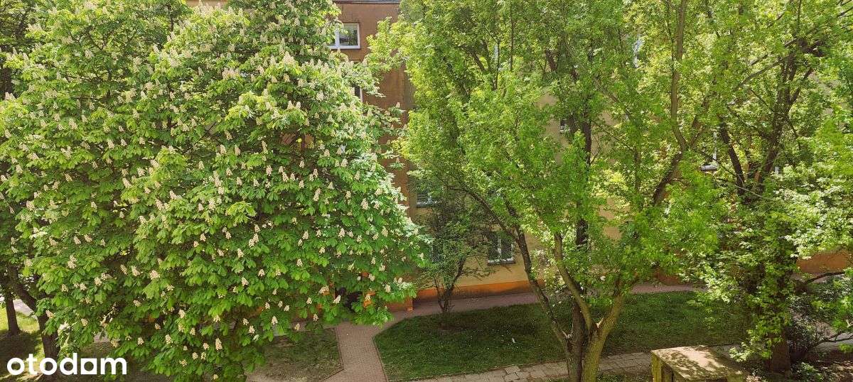 Słoneczne 2 pokoje na Dołach na sprzedaż-8