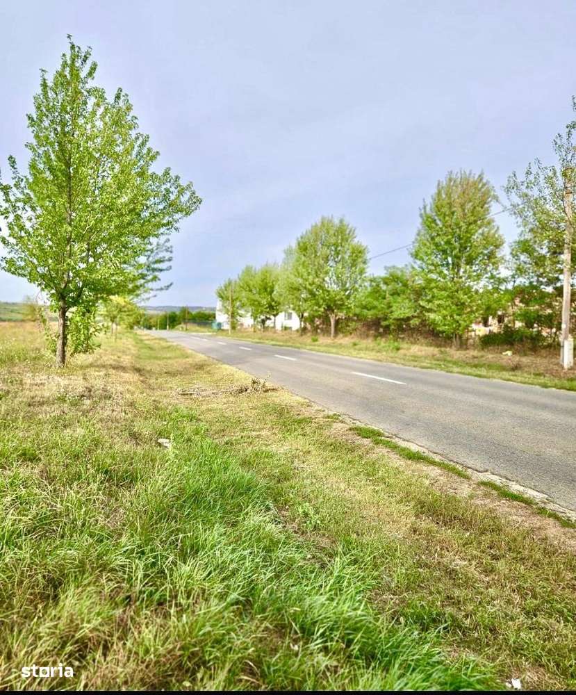 Teren intravilan de vanzare Paleu 750mp /884mp - Imagine principală: 4/4