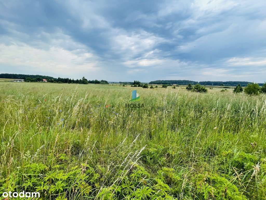 Działki budowlane, Szerokopaś - Pełny obrazek: 4/17