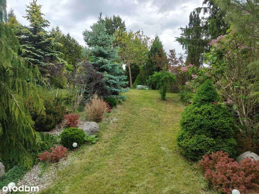 Komfortowy dom w Biskupcu - Pełny obrazek: 5/20