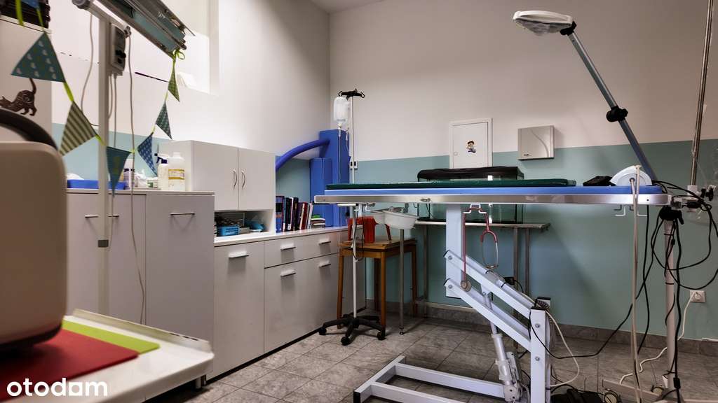 Wolnostojący budynek usługowy w atrakcyjnej lokali-7