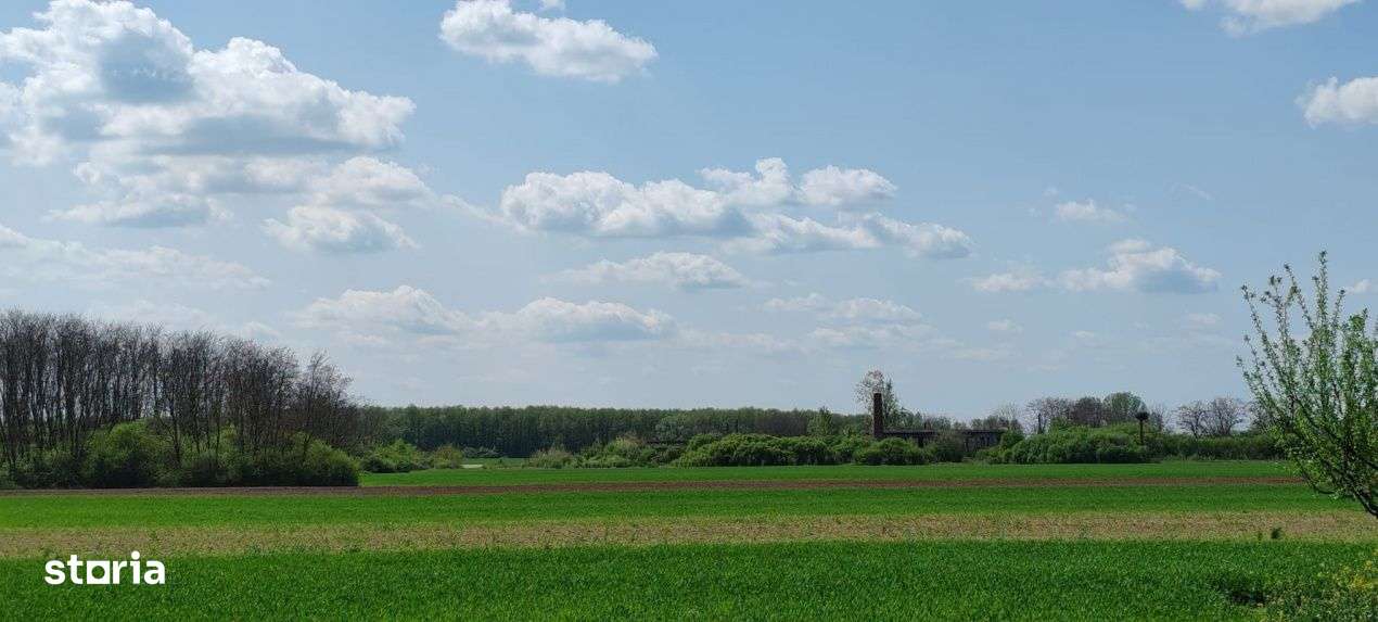 Casa si teren generos – sat Ciuhoi, comuna Saniob, judetul Bihor-7