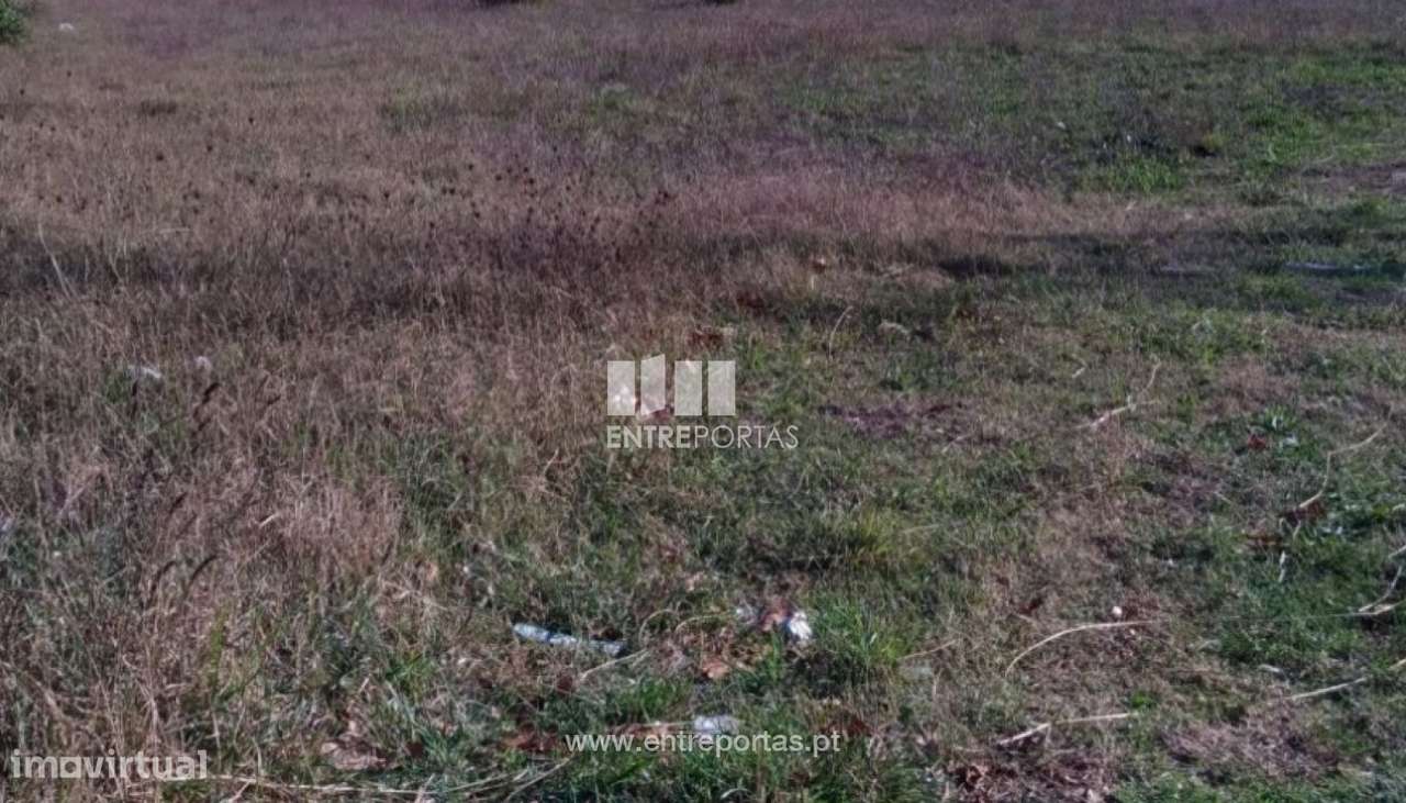 Venda de Terreno com 12 372 m2, Argivai, Póvoa de Varzim - Grande imagem: 2/12