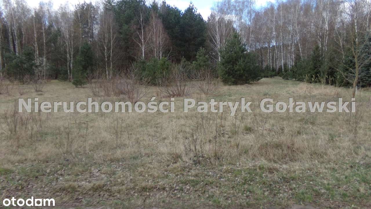 Działka na sprzedaż, Nieborów - Pełny obrazek: 5/7