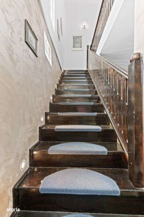 Snagov - str Zorelelor | vila 5 camere - acces lac - gradina privata-13