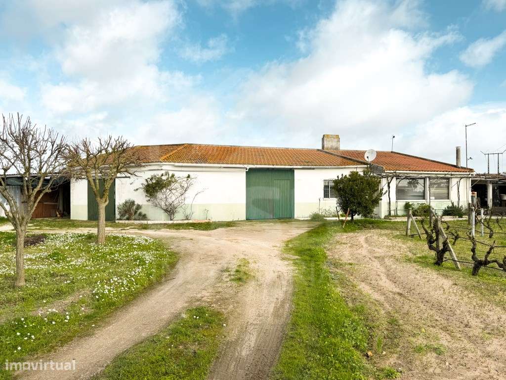 Terreno em Benavente-0