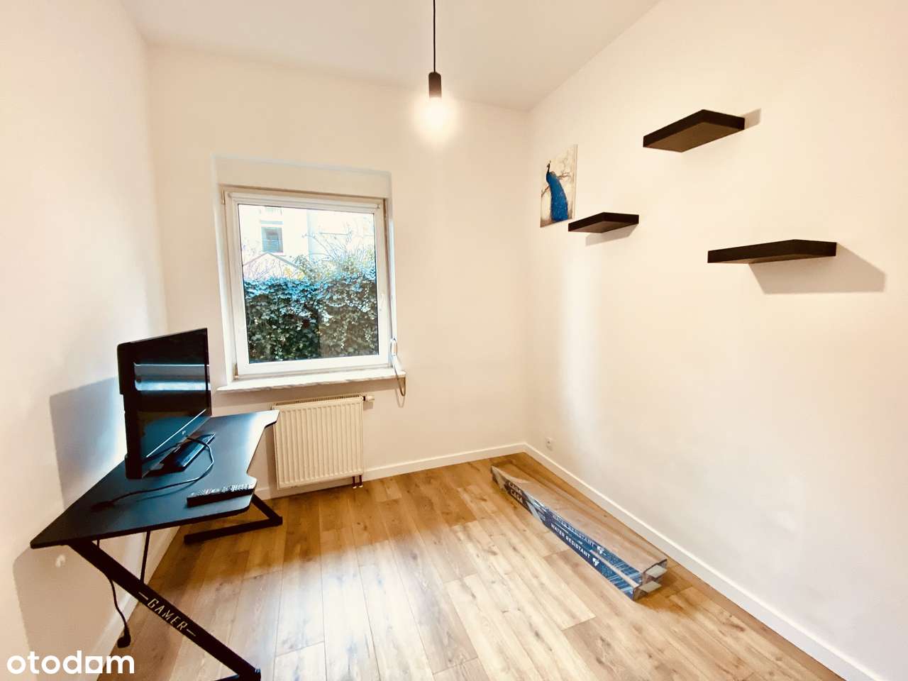 Jasne z ogródkiem, garażem , blisko parku - przyjazne dla zwierząt - Pełny obrazek: 5/11