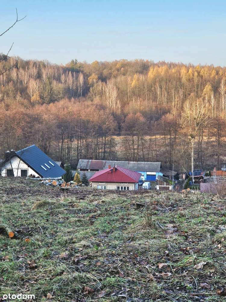 Wzgórze z widokiem i lasem - idealne miejsce na dom pod Nałęczowem. - Pełny obrazek: 4/7