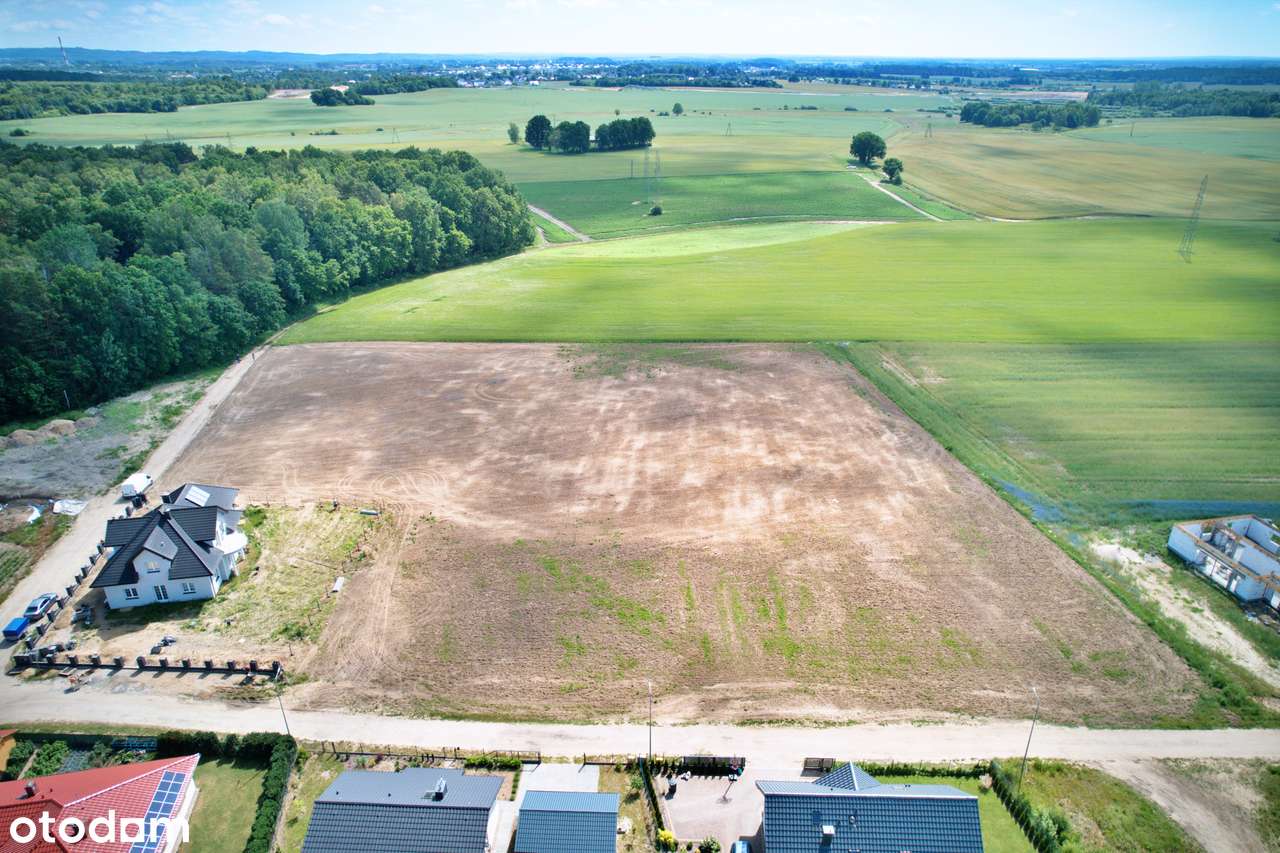 Atrakcyjne działki blisko lasu! Nowe Bielice gm. Biesiekierz - Pełny obrazek: 5/5