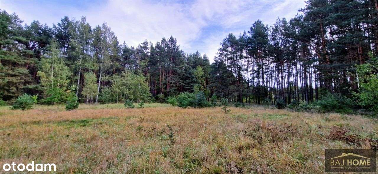 Działka na sprzedaż Grupa; gmina Dragacz-5