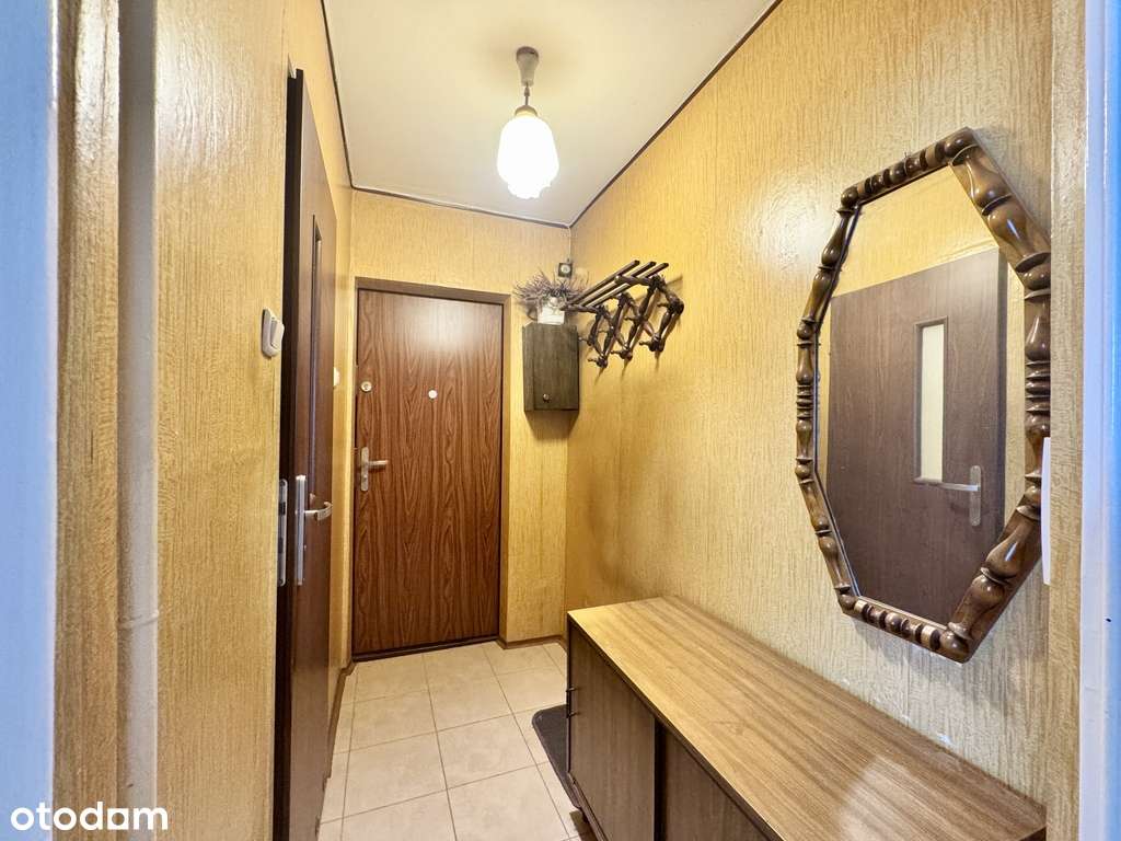 Dąbrowskiego • 37 m² • winda • 2 pokoje-7