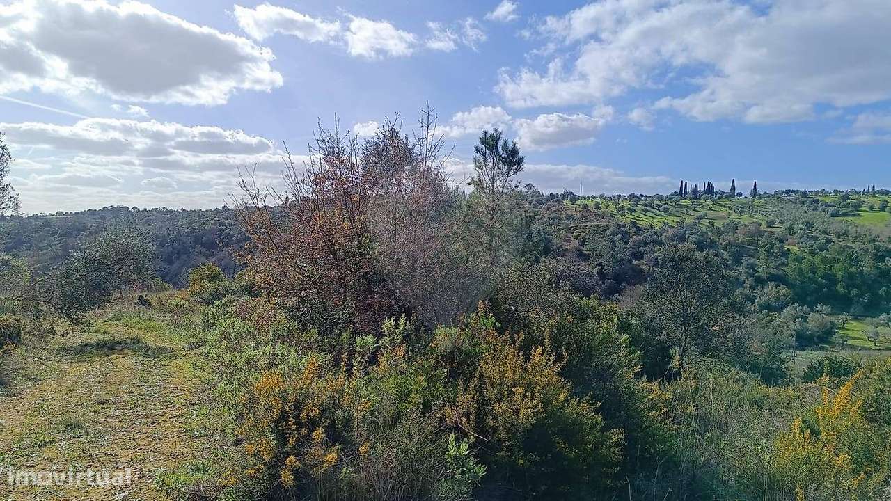 Terreno  para venda - Grande imagem: 2/15