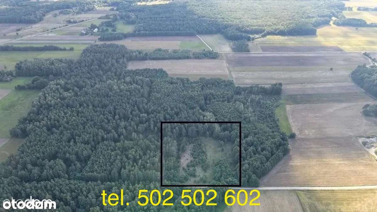 pod Rezydencję  ,z projektem i poz na budowę !!.Rogówek , ponad 1,5 ha-6