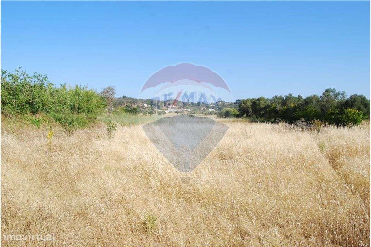 Terreno  para venda - Grande imagem: 3/21