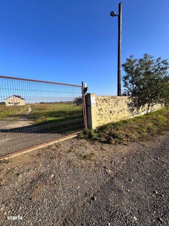 TEREN DE VANZARE | VALU LUI TRAIAN | 926 MP - Imagine principală: 2/2
