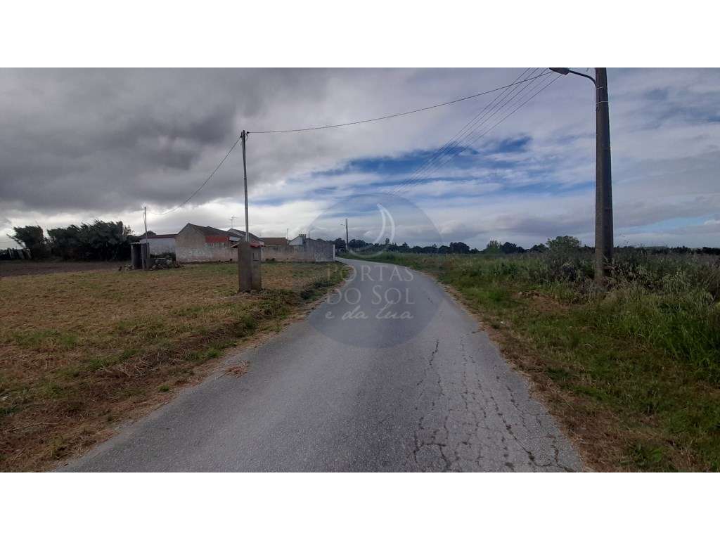 Terreno de 3.700 m2 p moradia unifamiliar - Grande imagem: 4/4