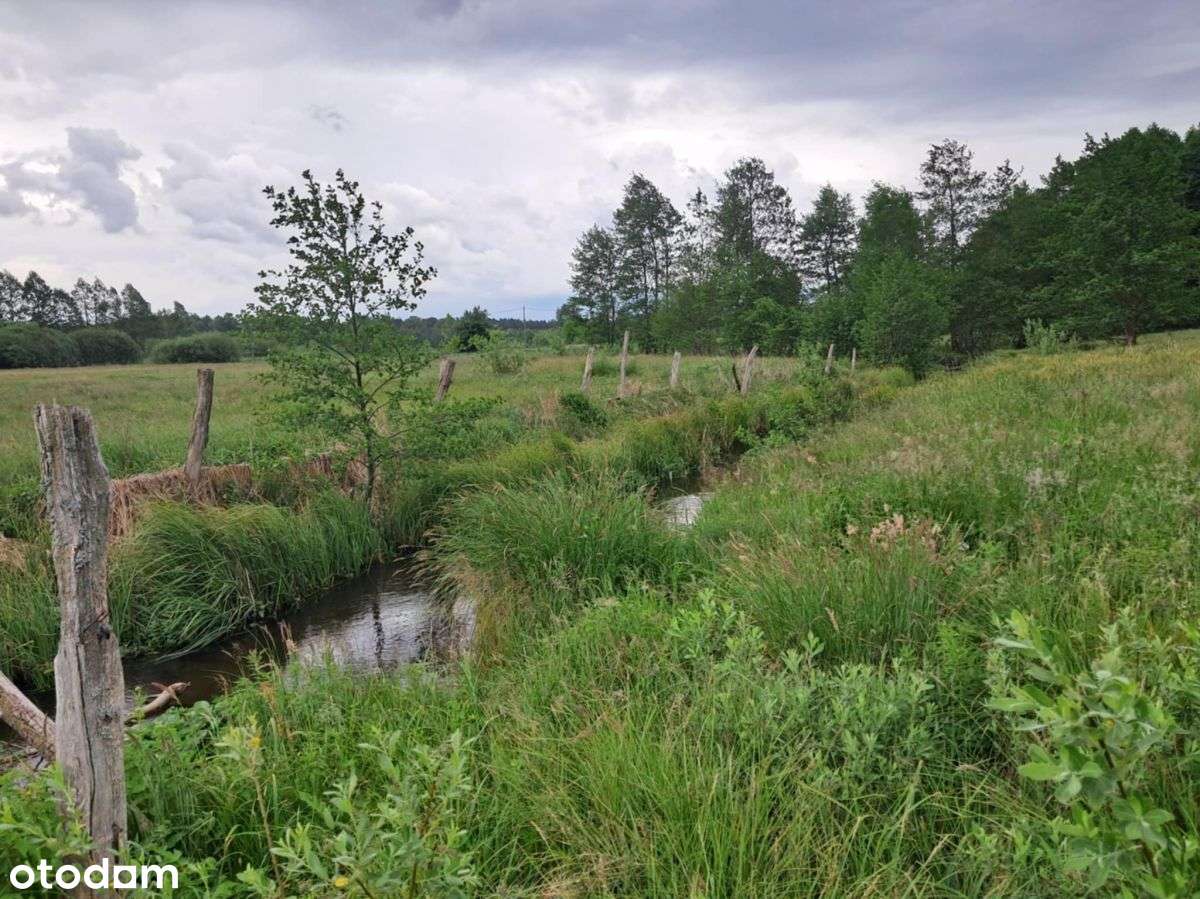 Działka pod rekreację i lokatę-4